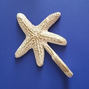 Starfish Hook